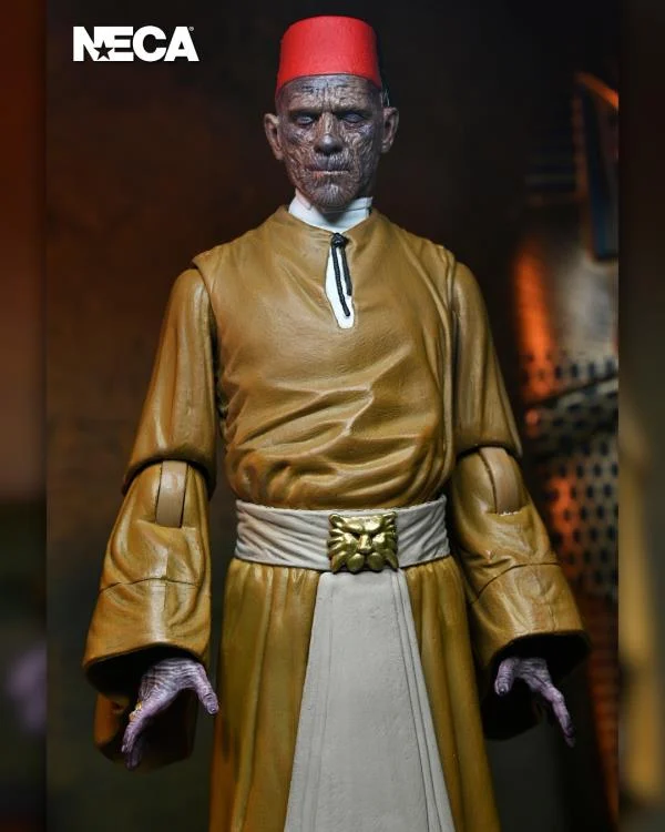 NECA Universal Monsters The Mummy Ultimate Ardath Bey ( Boris Karloff ...
