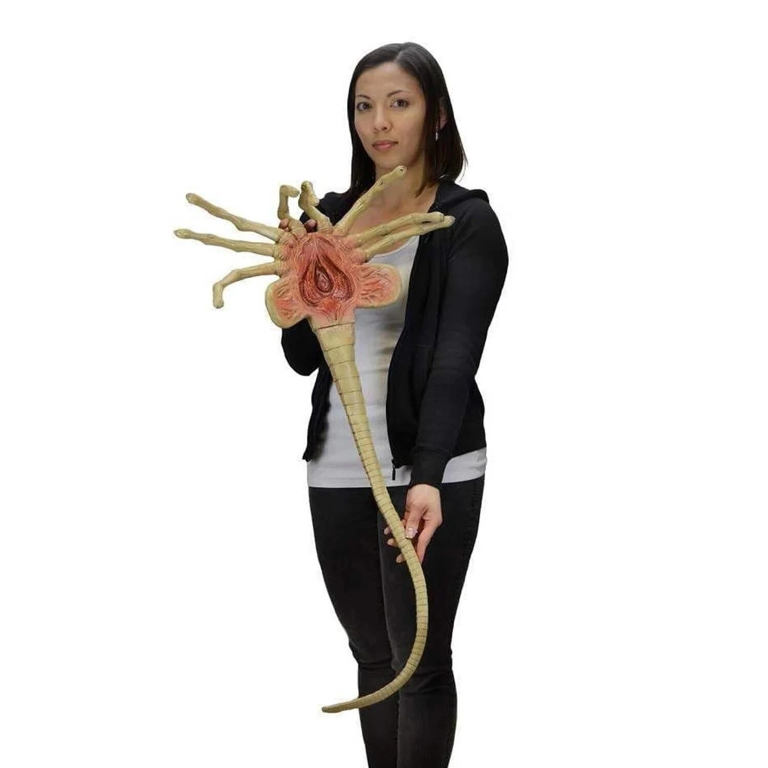 NECA Alien Facehugger 1/1 Scale Foam Prop Replica – Kapow Toys