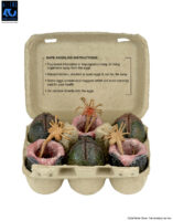 NECA Aliens 40th Anniversary Xenomorph Eggs Set 6 Pack