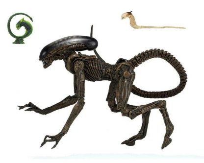 NECA Alien 3 Ultimate Dog Alien-22559