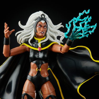 Marvel Legends X-Men Storm and Thunderbird Action Figure 2 Pack-26389