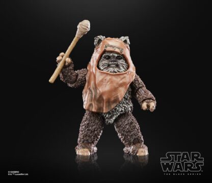 Star Wars The 40th Anniversary The Black Series Wicket ( ROTJ )