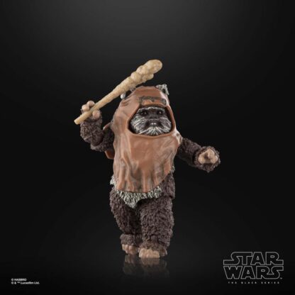 Star Wars The Black Series Wicket ( Return of the Jedi )