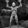 NECA Ultimate The Creature from the Black Lagoon ( Black and White Version )