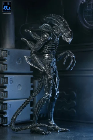 NECA Aliens 40th Anniversary Ultimate Warrior Xenomorph Action Figure